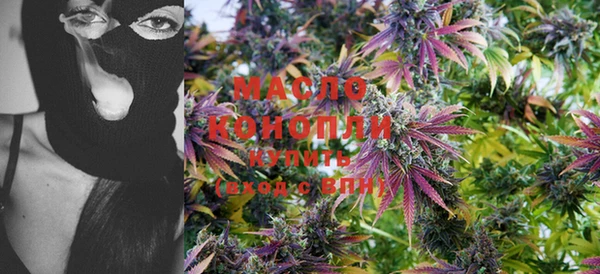 PSILOCYBIN Бородино