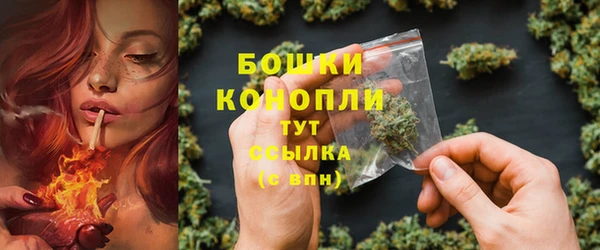 PSILOCYBIN Бородино